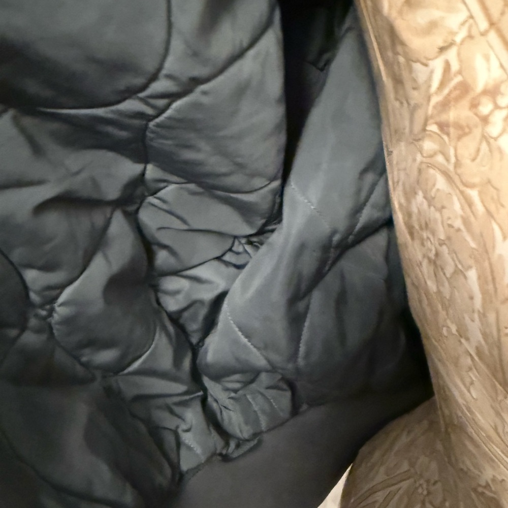 Lioness Gray Bomber Jacket with Cream Collar - Picture 14 of 15